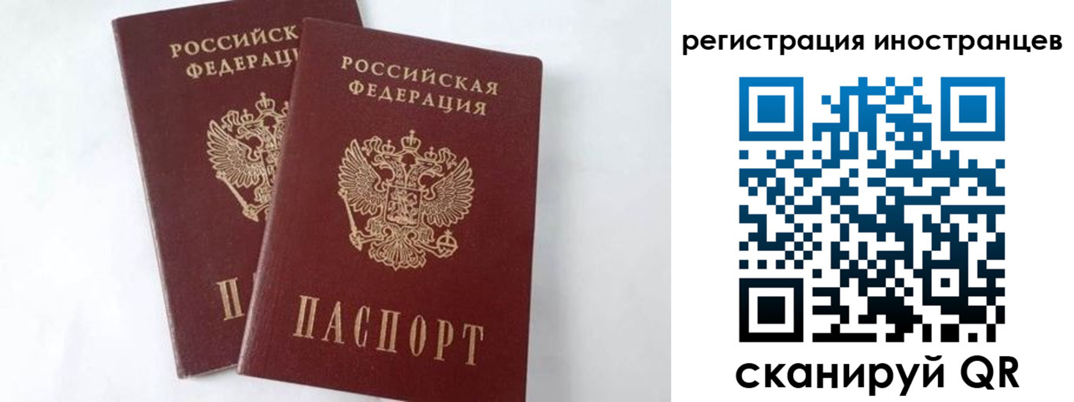 регистрация для школы в Сланцах